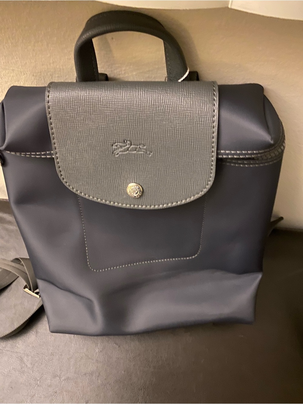 Longchamp Navy and Dark Gray Le Pliage Backpack
